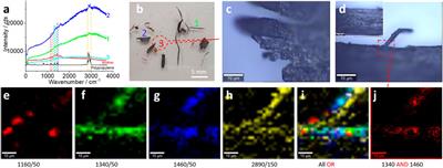 Collecting Microplastics in Gardens: Case Study (i) of Soil